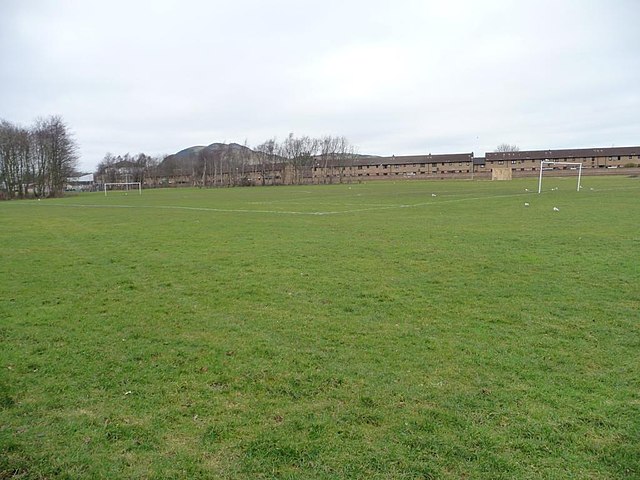 Tráva