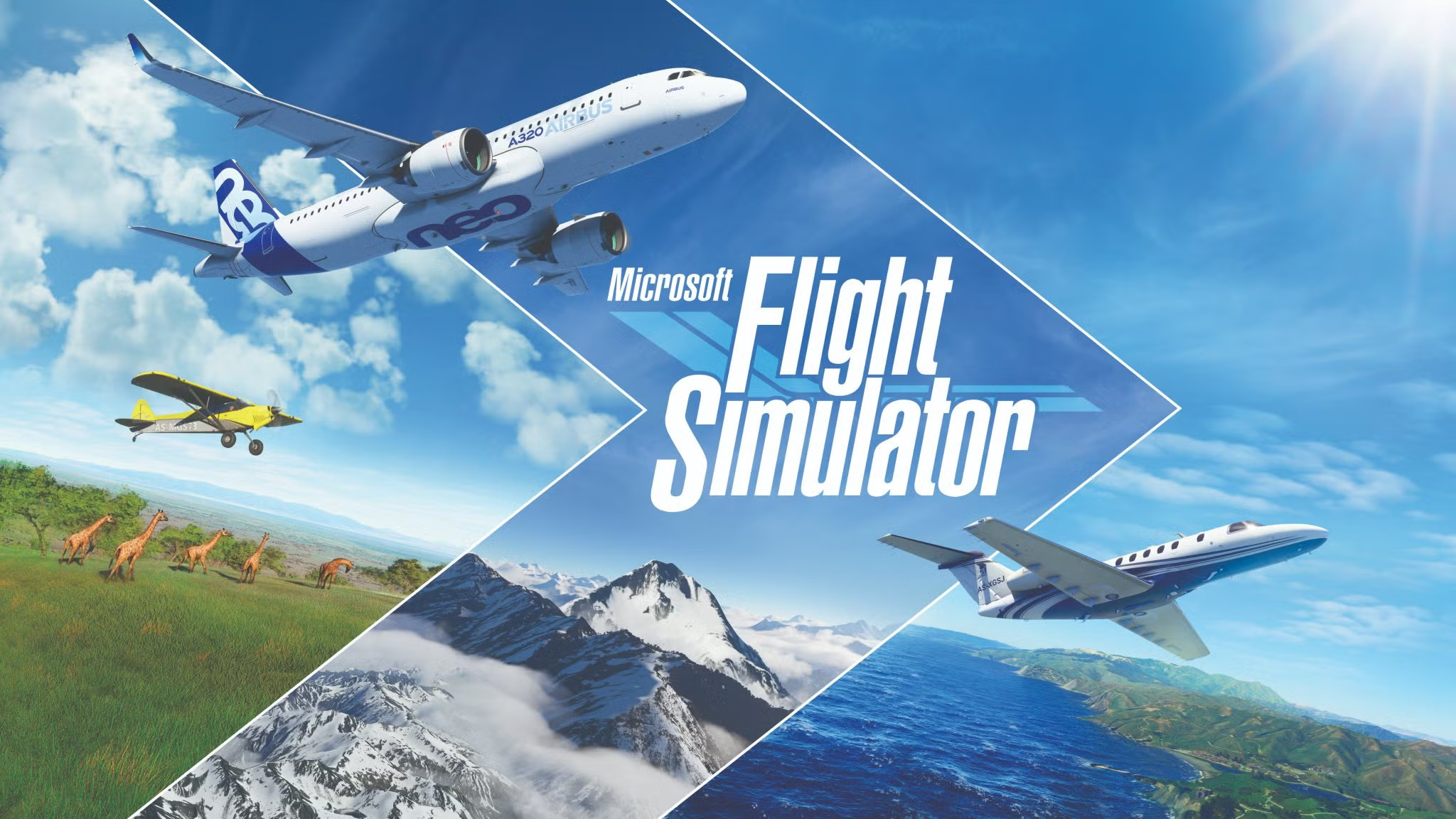 Flight Simulator