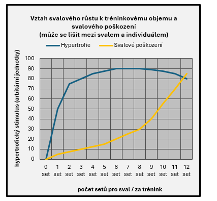 vztah tréninkového objemu ke svalovému poškození a 